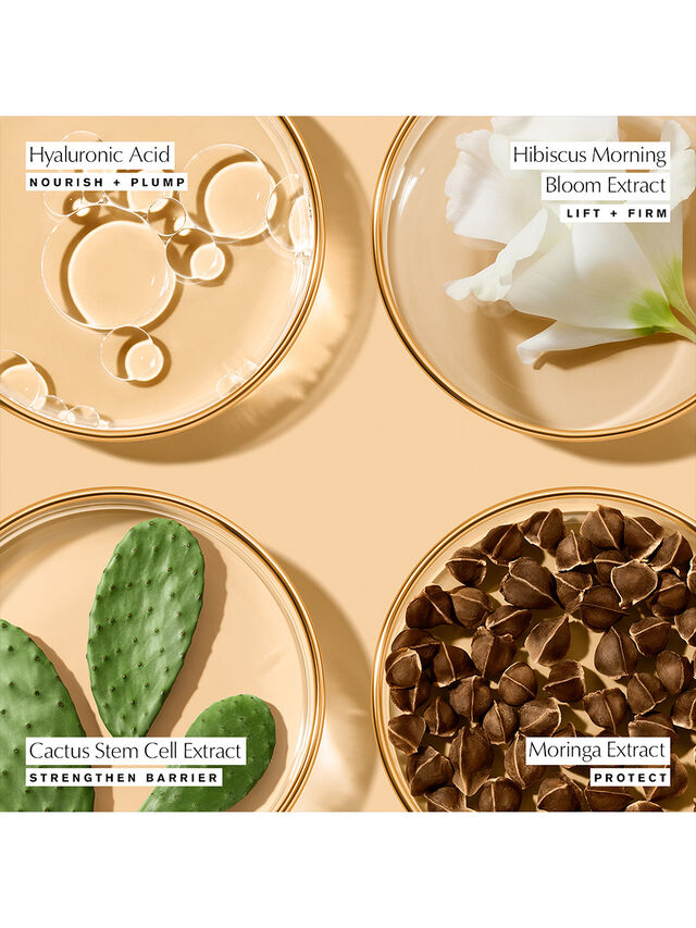 Estée Lauder Revitalizing Supreme+ Youth Power Eye Balm 15ml